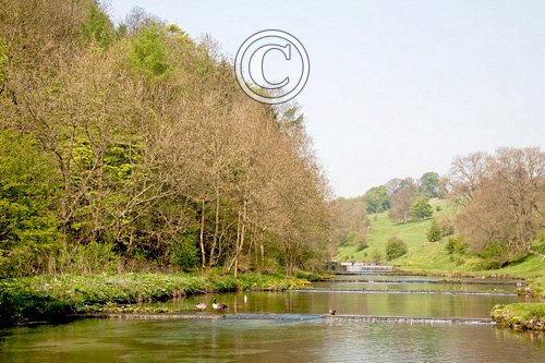 Lathkill Dale Derbyshire DM0148